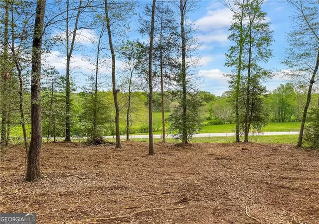 Homes for sale in Eastanollee, GA | 101 Broad River Rd, Eastanollee, GA 30538 | MLS# 7786836
