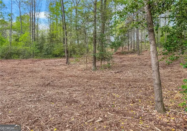 Homes for sale in Eastanollee, GA | 101 Broad River Rd, Eastanollee, GA 30538 | MLS# 7786836