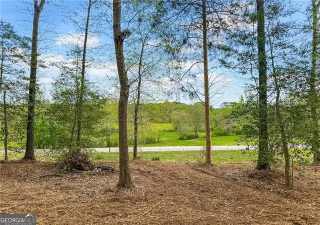 Homes for sale in Eastanollee, GA | 101 Broad River Rd, Eastanollee, GA 30538 | MLS# 7786836