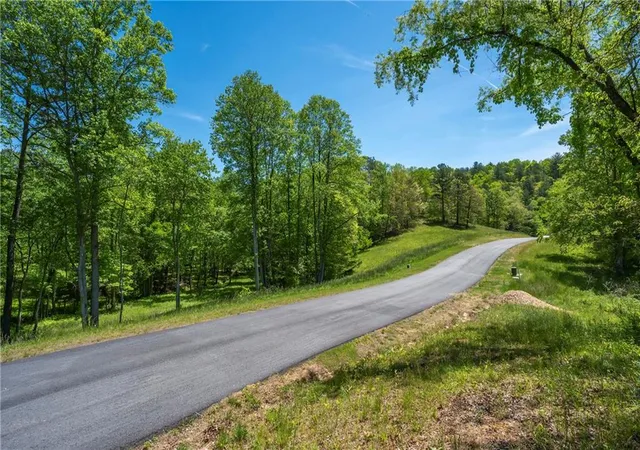 1st image of Lt5 5a Jonica Gap Rd, Mineral Bluff, GA 30559 | MLS# 7800332