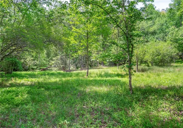 3rd image of Lt5-5A Jonica Gap Rd, Mineral Bluff, GA 30559 | MLS# 7800332