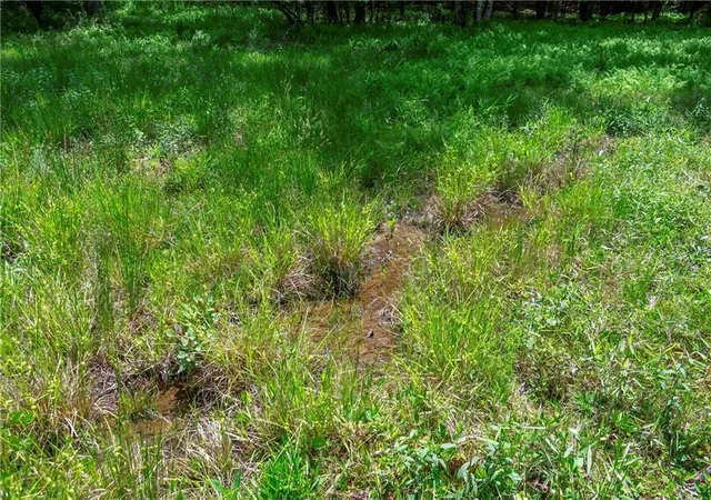 4th image of Lt5-5A Jonica Gap Rd, Mineral Bluff, GA 30559 | MLS# 7800332