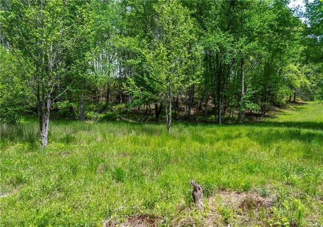 5th image of Lt5-5A Jonica Gap Rd, Mineral Bluff, GA 30559 | MLS# 7800332