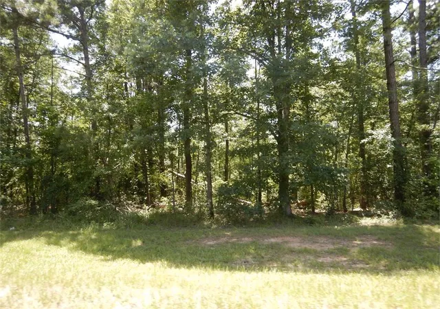 1st image of 2771 Carey Station Rd St, Greensboro, GA 30642 | MLS# 7817530