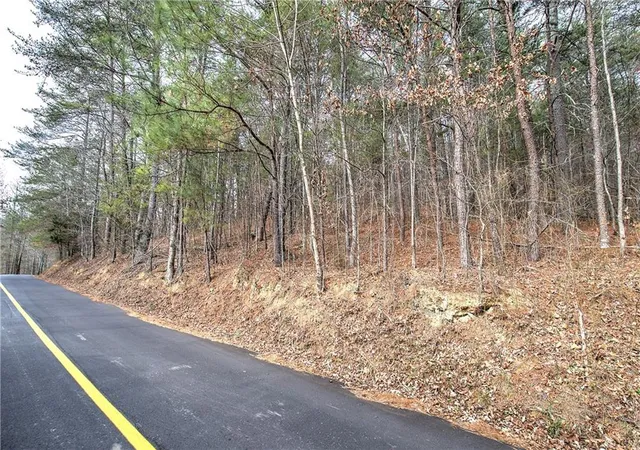 Photo 2 of Land for sale at 00 Manning Ml Rd, Summerville, GA 30747 | MLS# 7711899 | Listing updated on 2026-07-29