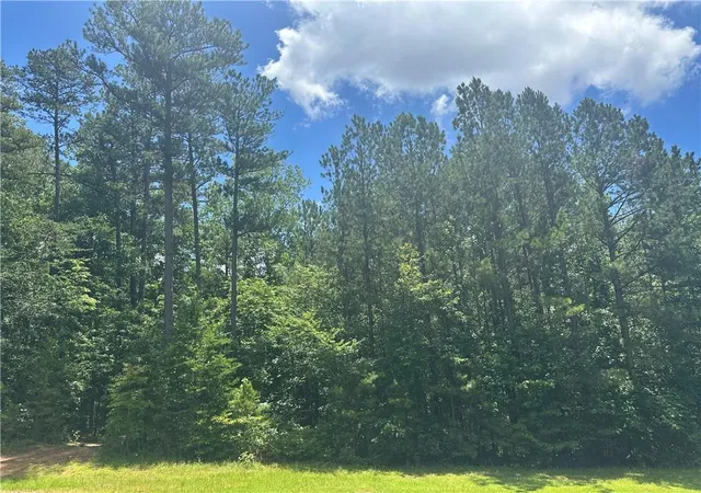 Photo 3 of Land for sale at 0 Elsberry Mountain Road, Dallas, GA 30132 | MLS# 7600294 | Listing updated on 2026-06-11