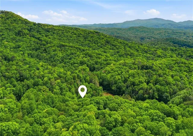 Homes for sale in Ellijay, GA | 1564 Big Ben Road, Ellijay, GA 30540 | MLS# 7720087