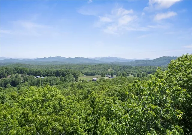 Homes for sale in Blairsville, GA | 0 Brumby Run, Blairsville, GA 30512 | MLS# 7747863