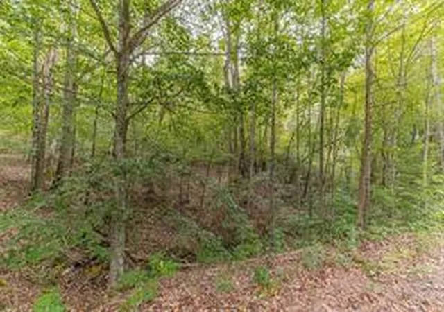 Photo 3 of Sale Pending at 4033 Hidden Holw Dr, Gainesville, GA 30506 | MLS# 7750741 | Listing updated on 2026-09-17
