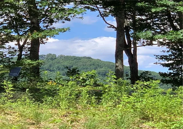 Photo 1 of Land for sale at 2046 Amy Creek Cir, Ellijay, GA 30540 | MLS# 7677569 | Listing updated on 2026-10-31