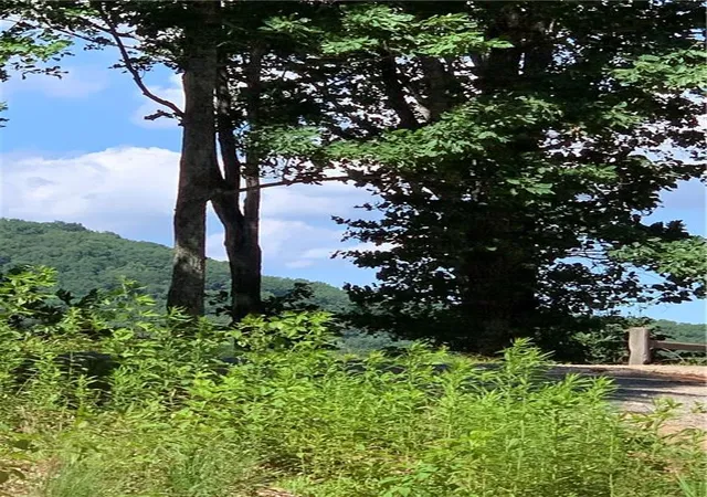 Photo 2 of Land for sale at 2046 Amy Creek Cir, Ellijay, GA 30540 | MLS# 7677569 | Listing updated on 2026-10-31