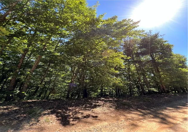 Photo 3 of Land for sale at 2046 Amy Creek Cir, Ellijay, GA 30540 | MLS# 7677569 | Listing updated on 2026-10-31