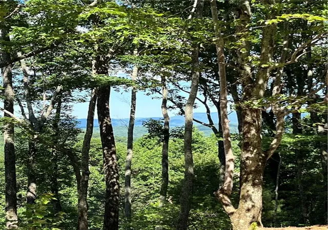 Photo 4 of Land for sale at 2046 Amy Creek Cir, Ellijay, GA 30540 | MLS# 7677569 | Listing updated on 2026-10-31