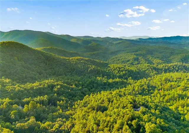 Photo 64 of Single family home for sale at 252 Wild Turkey Blf, Jasper, GA 30143 | MLS# 7827044 | Listing updated on 2026-09-13