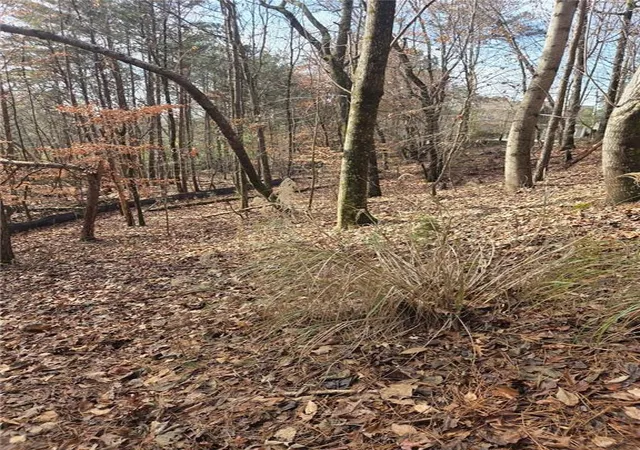 Photo 4 of Land for sale at 3524 Lake Ridge Dr, Gainesville, GA 30506 | MLS# 7614633 | Listing updated on 2026-08-31