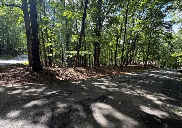 Photo 3 of Land for sale at 0 Sourwood Cir, Jasper, GA 30143 | MLS# 7803921 | Listing updated on 2026-07-14
