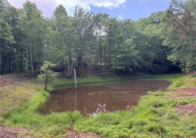 Homes for sale in Dahlonega, GA | 35 Ac Ben Higgins Rd, Dahlonega, GA 30533 | MLS# 7787225