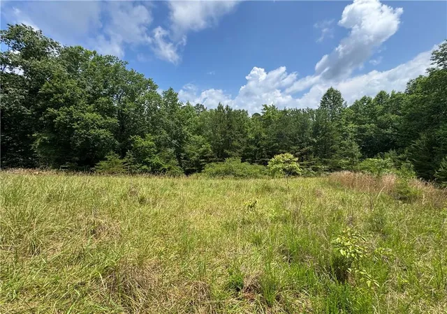 Homes for sale in Dahlonega, GA | 35 Ac Ben Higgins Rd, Dahlonega, GA 30533 | MLS# 7787225
