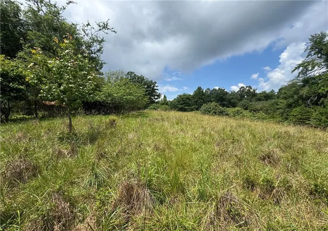 Homes for sale in Dahlonega, GA | 35 Ac Ben Higgins Rd, Dahlonega, GA 30533 | MLS# 7787225