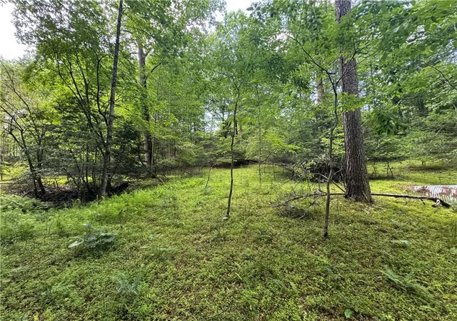Homes for sale in Dahlonega, GA | 35 Ac Ben Higgins Rd, Dahlonega, GA 30533 | MLS# 7787225