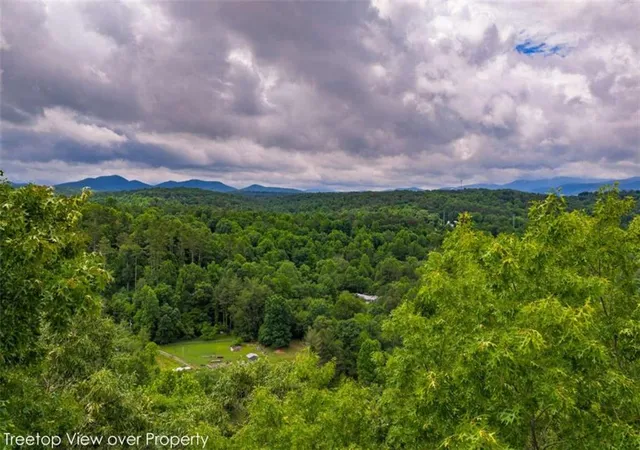 Photo 1 of Land for sale at 9 Deer Hvn Dr, Morganton, GA 30560 | MLS# 7795797 | Listing updated on 2026-08-20