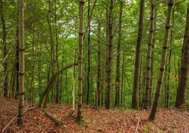 Photo 3 of Land for sale at 9 Deer Hvn Dr, Morganton, GA 30560 | MLS# 7795797 | Listing updated on 2026-08-20