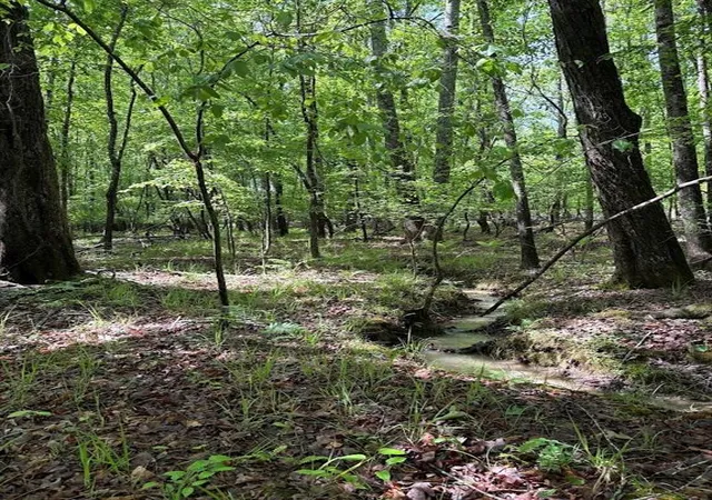 2nd image of 0 Roy Dean Rd, Buchanan, GA 30113 | MLS# 7763076