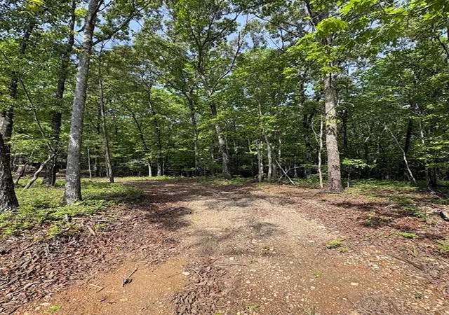 3rd image of 0 Roy Dean Rd, Buchanan, GA 30113 | MLS# 7763076
