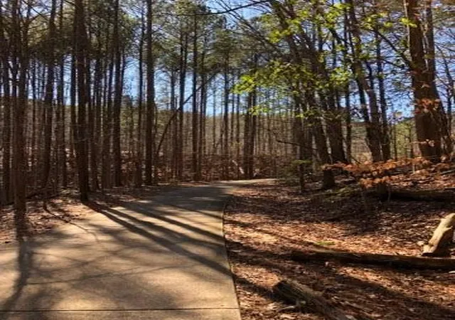 53rd image of 153 Fort Gibson Ct, Waleska, GA 30183 | MLS# 7799794