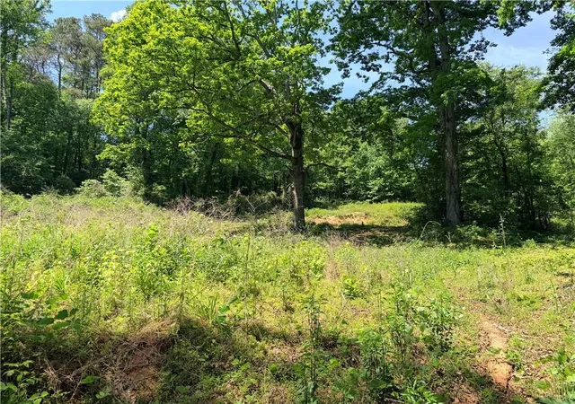 1st image of 0 Old Hwy 5 S, Ellijay, GA 30540 | MLS# 7814431