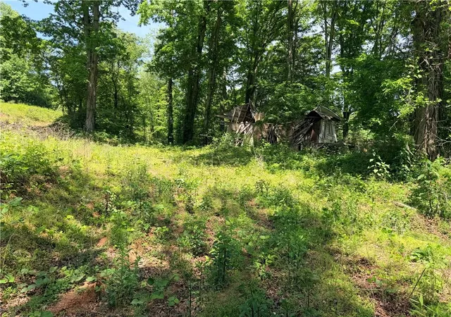 20th image of 0 Old Hwy 5 S, Ellijay, GA 30540 | MLS# 7814431