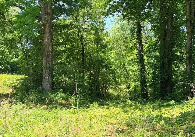 2nd image of 0 Old Hwy 5 S, Ellijay, GA 30540 | MLS# 7814431