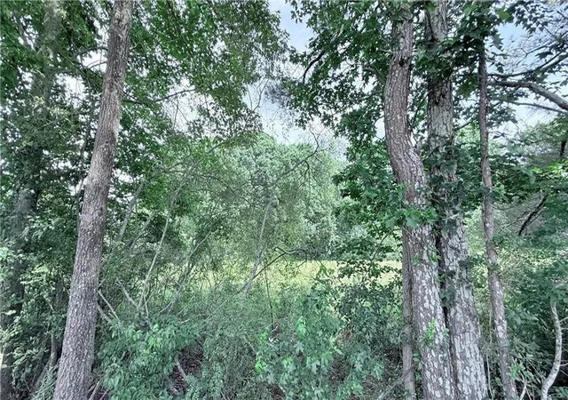 Photo 7 of Land for sale at 02 Claude Martin Rd, Gainesville, GA 30506 | MLS# 7780952 | Listing updated on 2026-07-01
