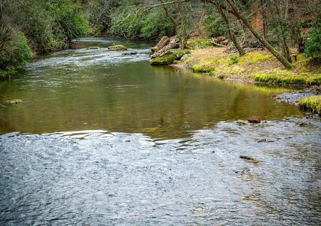 33rd image of 120 N Riverview Ln, Ellijay, GA 30536 | MLS# 7799222