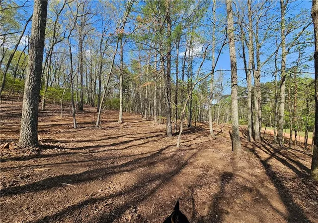 Photo 63 of Land for sale at 00 Old Federal Rd, Dawsonville, GA 30534 | MLS# 7737464 | Listing updated on 2026-07-29