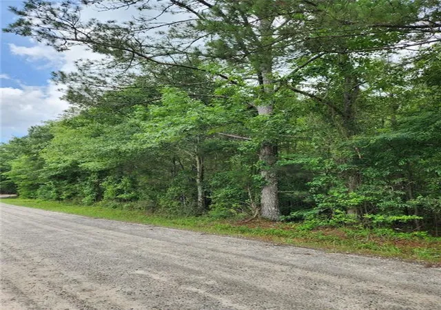 Photo 4 of Land for sale at 0 Barton Brg Rd, Monroe, GA 30655 | MLS# 7791875 | Listing updated on 2026-08-04
