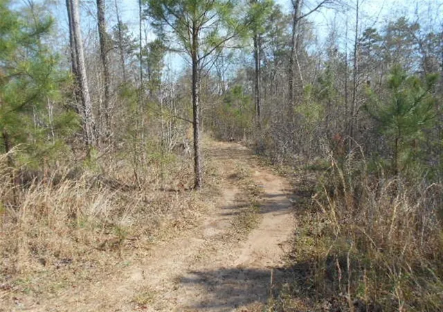 Photo 3 of Land for sale at 0 Nebo Rd, Hiram, GA 30141 | MLS# 6989412 | Listing updated on 2026-06-01