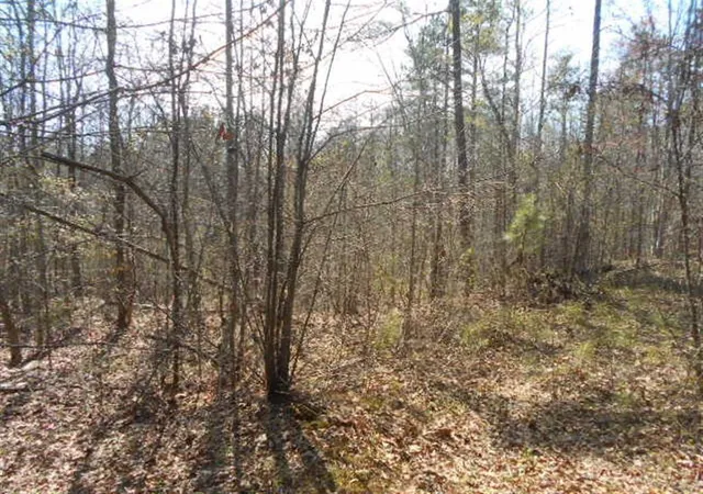 Photo 4 of Land for sale at 0 Nebo Rd, Hiram, GA 30141 | MLS# 6989412 | Listing updated on 2026-06-01