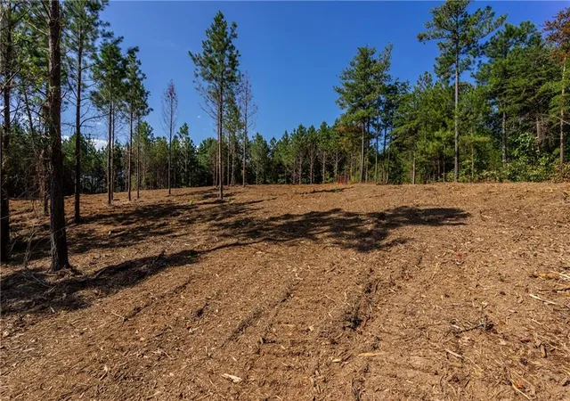 3rd image of 1 Young Loop, Fairmount, GA 30139 | MLS# 7708980