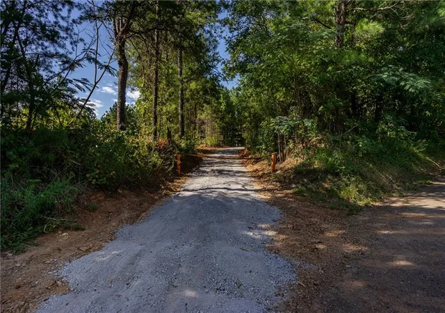 5th image of 1 Young Loop, Fairmount, GA 30139 | MLS# 7708980