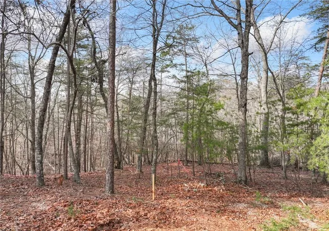Photo 4 of Land for sale at Lot 20 Crown Mountain Way, Dahlonega, GA 30533 | MLS# 7811384 | Listing updated on 2026-07-28