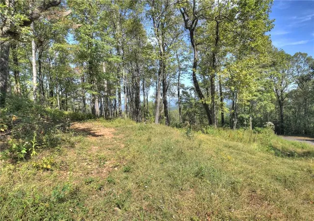 Photo 21 of Land for sale at Lt 296 Andes Ridge, Jasper, GA 30143 | MLS# 7803904 | Listing updated on 2026-07-15