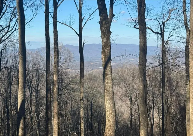 Photo 2 of Land for sale at Lt 296 Andes Ridge, Jasper, GA 30143 | MLS# 7803904 | Listing updated on 2026-07-15