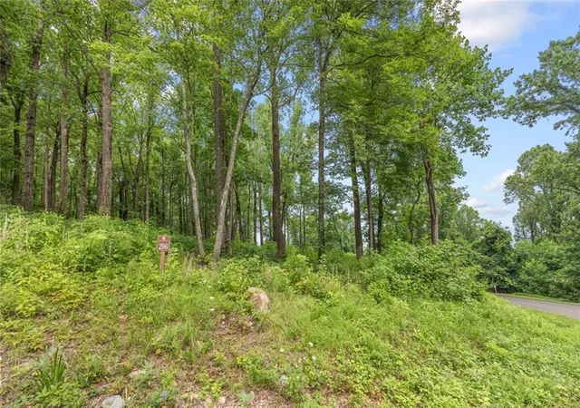 Photo 3 of Land for sale at Lt 296 Andes Ridge, Jasper, GA 30143 | MLS# 7803904 | Listing updated on 2026-07-15
