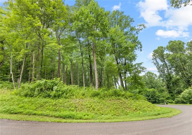 Photo 4 of Land for sale at Lt 296 Andes Ridge, Jasper, GA 30143 | MLS# 7803904 | Listing updated on 2026-07-15