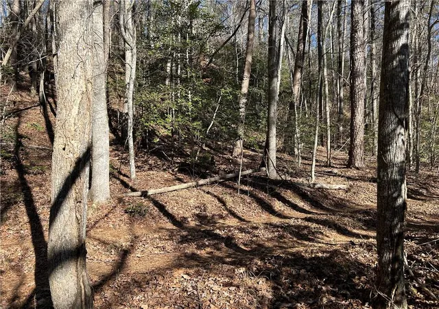 Photo 3 of Land for sale at 000 Twin River Orchard Rd, Demorest, GA 30535 | MLS# 7697479 | Listing updated on 2026-06-25