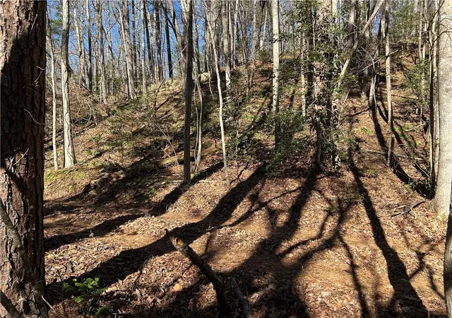 Photo 3 of Land for sale at 000 Twin River Orchard Rd, Demorest, GA 30535 | MLS# 7697479 | Listing updated on 2026-06-25