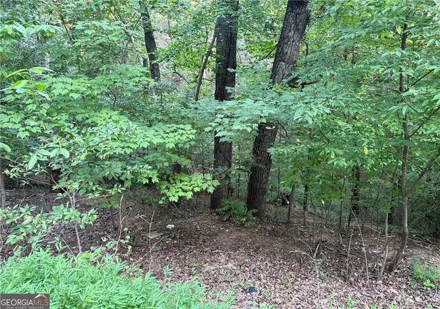 Photo 1 of Land for sale at 2333 Frd White Rd, Gainesville, GA 30506 | MLS# 7851734 | Listing updated on 2026-10-09