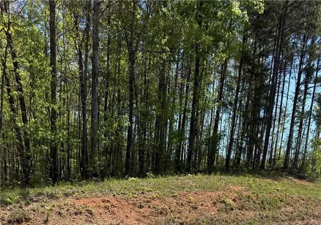 Photo 2 of Land for sale at 0 Us Hwy 27, Bremen, GA 30113 | MLS# 7751063 | Listing updated on 2026-04-11