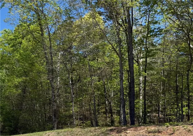 Photo 3 of Land for sale at 0 Us Hwy 27, Bremen, GA 30113 | MLS# 7751063 | Listing updated on 2026-04-11